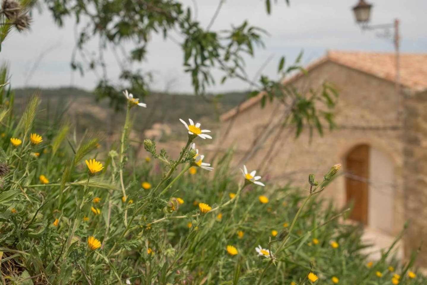 Espacioso Pajar Con Chimenea En Casa De Las Letras Lledó Kültér fotó